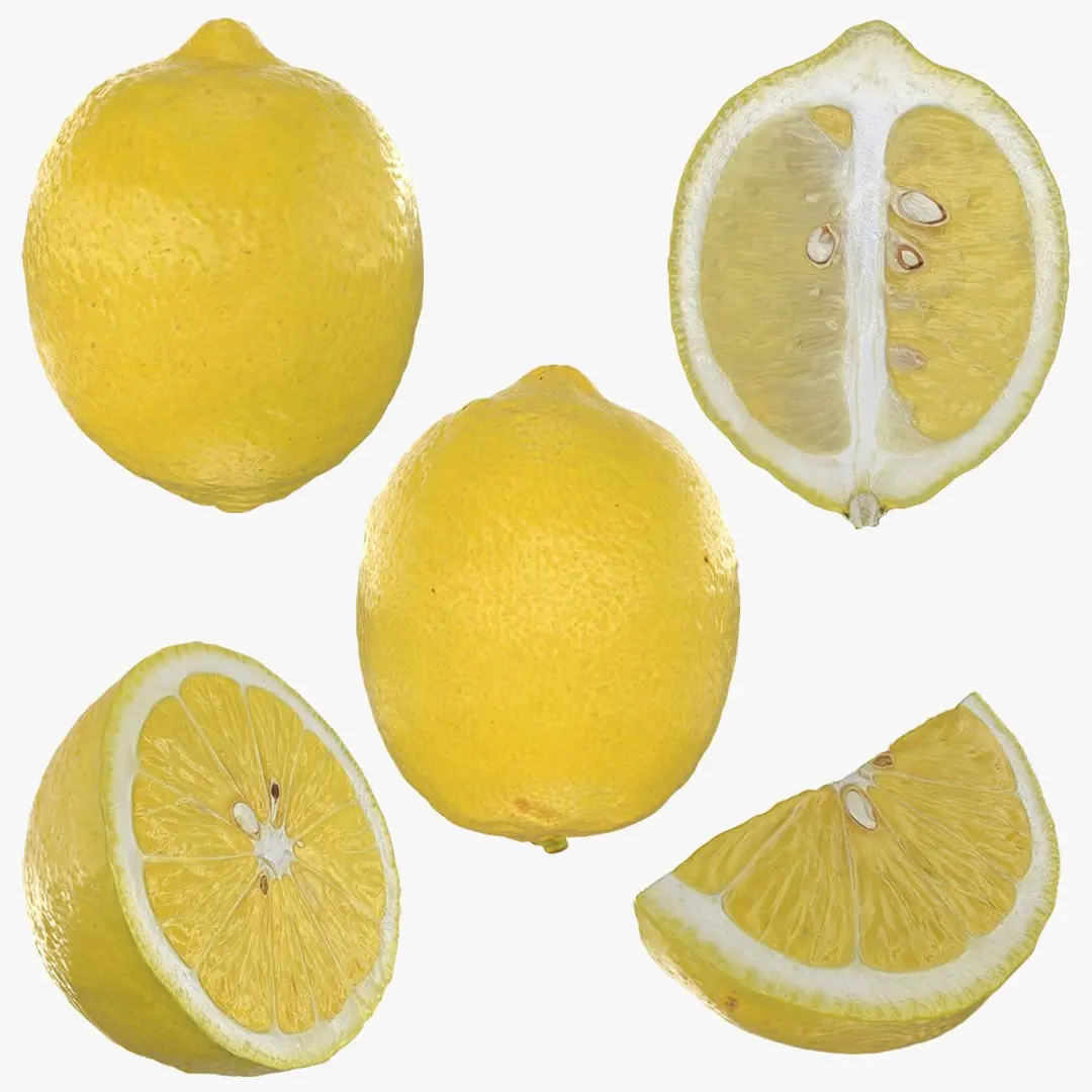Lemon Collection 3D model