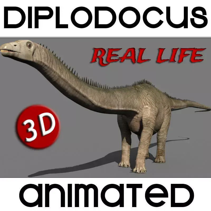 Real Life Diplodocus Dinosaur - Animated 3d model 3D model