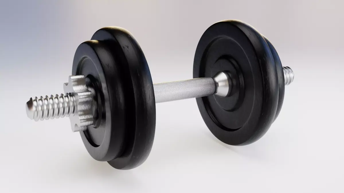 Dumbbell 3D Model pair of dumbbells 3D model