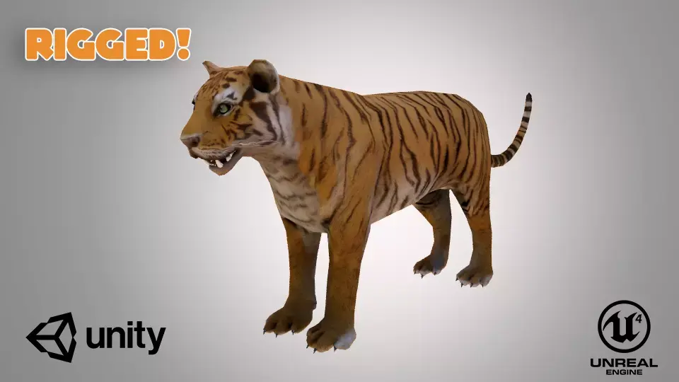Tiger Low-poly 3D model get