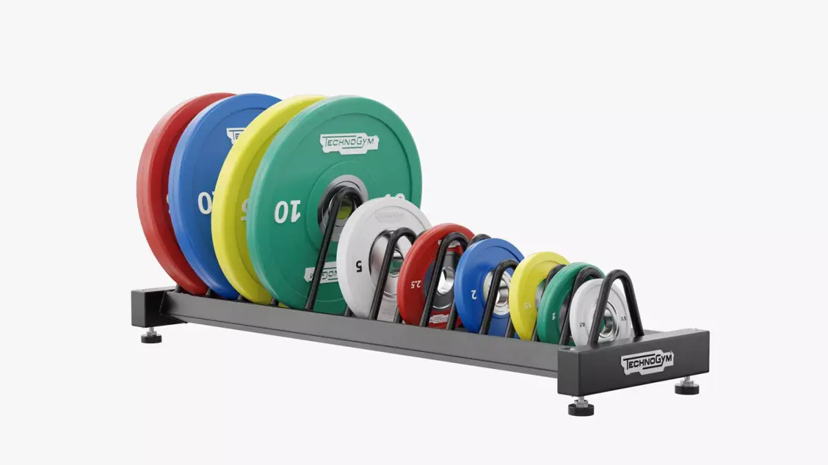 Technogym Bumper Plates Rack 3D model