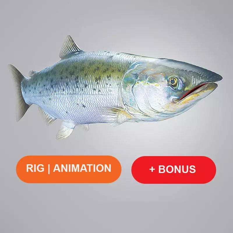 Salmon Plus Animation  Low-poly 3D model