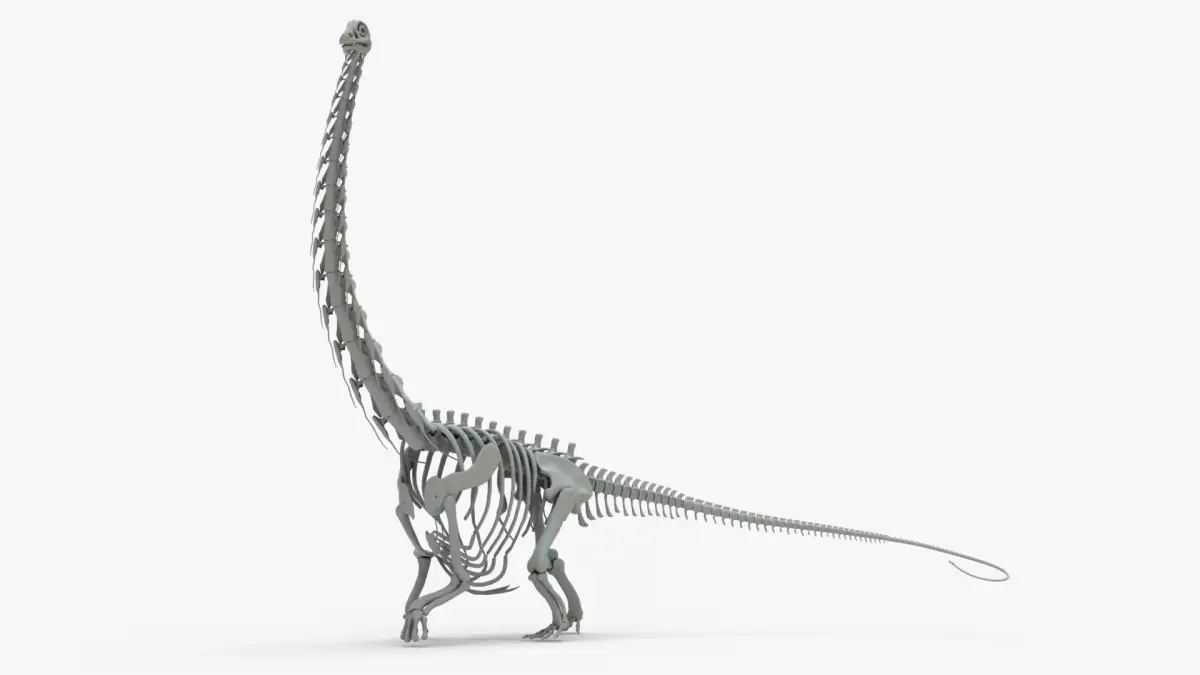 Argentinosaurus Rigged Skeleton Low-poly 3D model