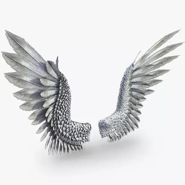 Pair of Bird  Wings 3DS Max Low-poly 3D model