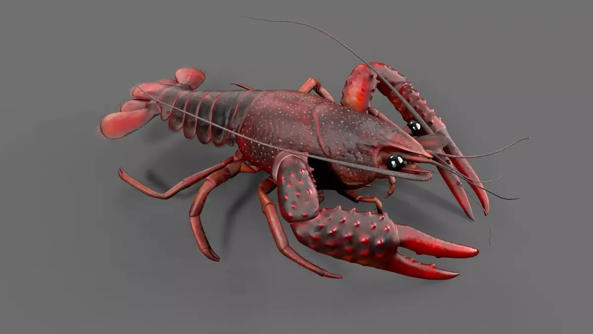 Lobster Rigged for 3Dmax Low-poly 3D model