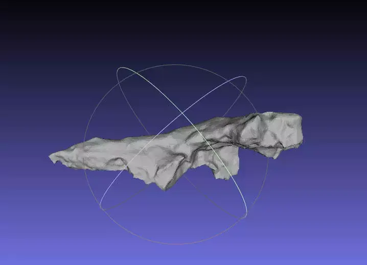 Psittacosaurus Posterior Cervical Rib Free 3D print model