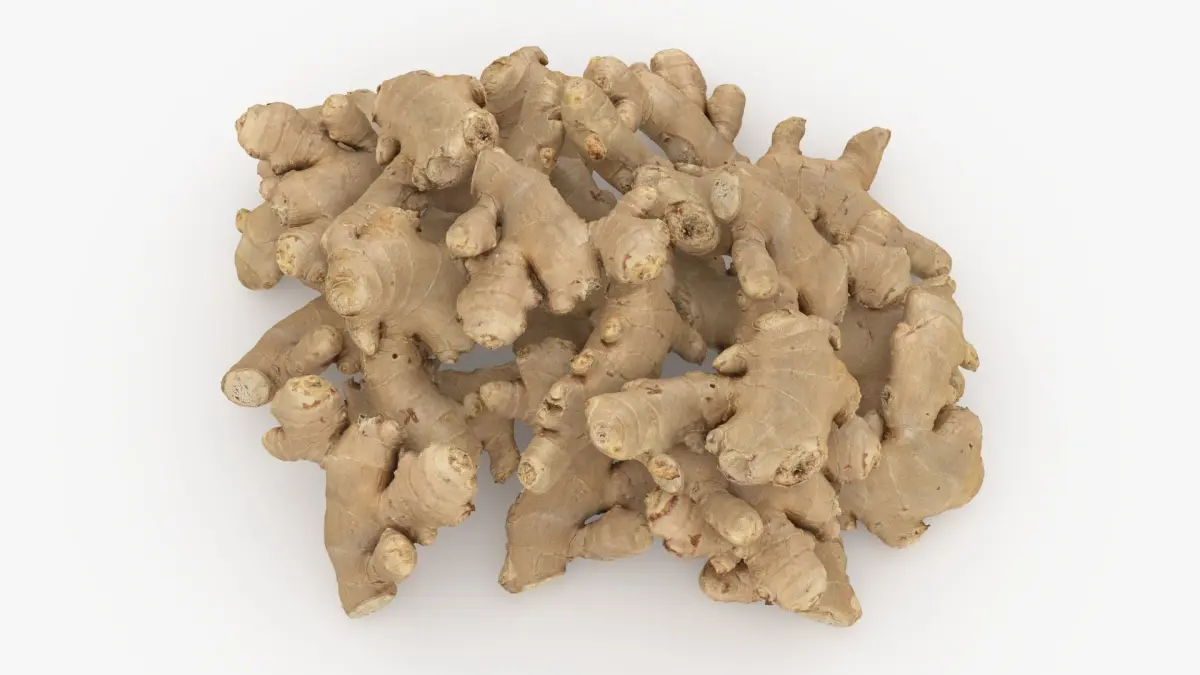 Pile Fresh Ginger Root 3D model