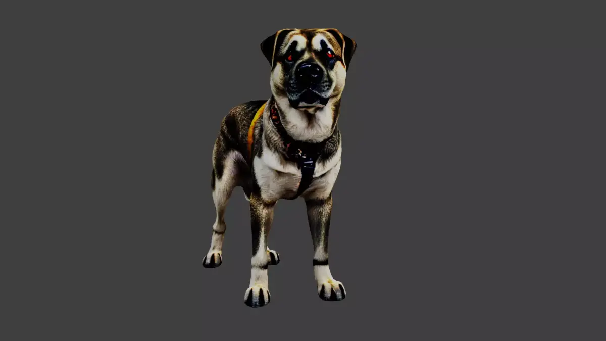 Dog Animal Low-poly 3D model