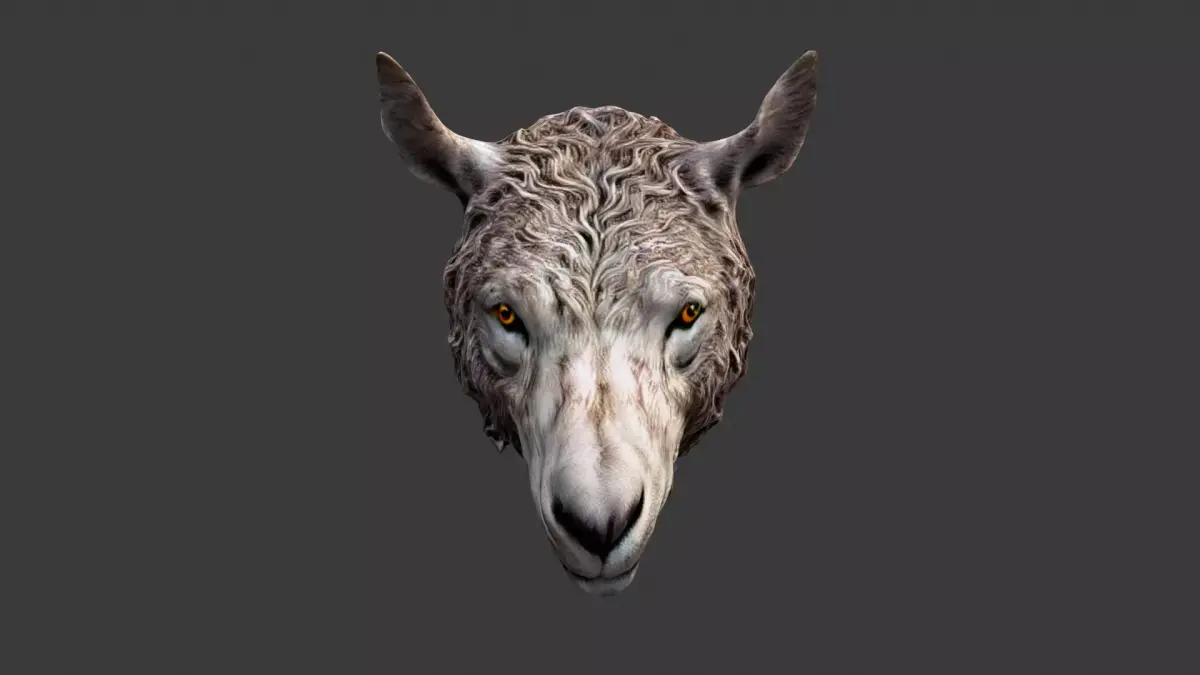Animal Head Low-poly 3D model 18
