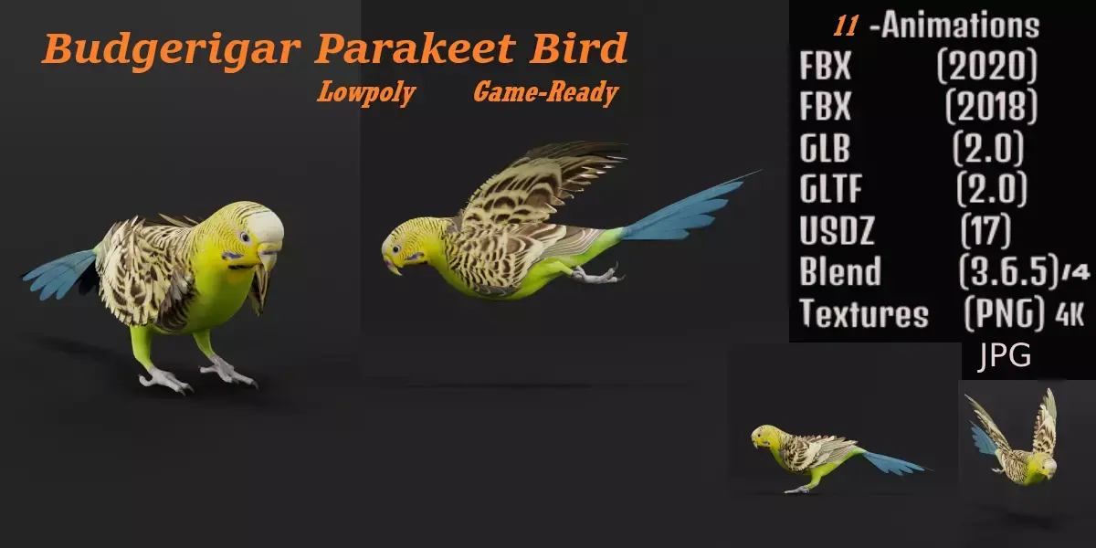 Budgerigar Parakeet Parrot Bird Low-poly 3D model