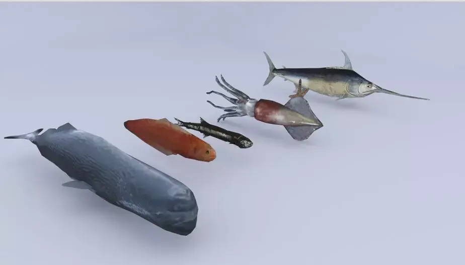 Sea Fish Low-poly 3D model buy