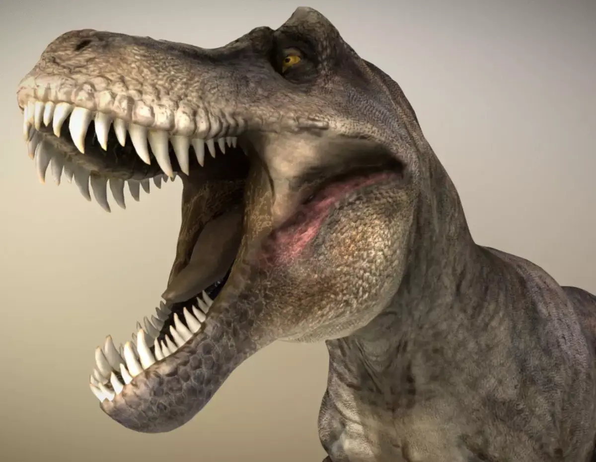 Tyrannosaurus rex Low-poly 3D model 20