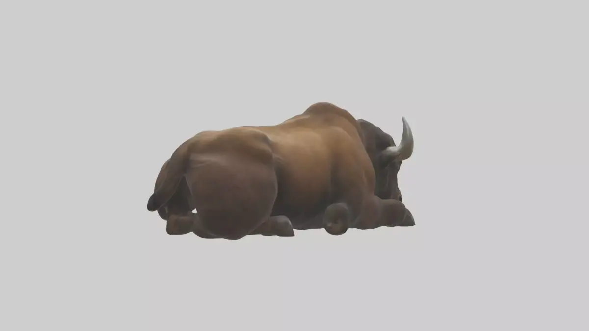 Lying Bison Model 1 Low-poly 3D model