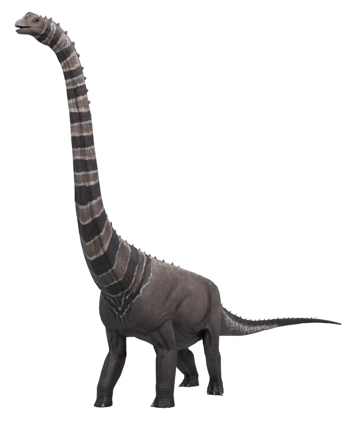 Argentinosaurus Asset Pack Low-poly 3D model