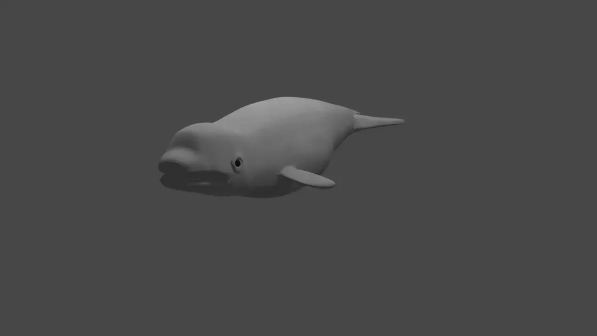 BELUGA WHALE  Low-poly 3D model