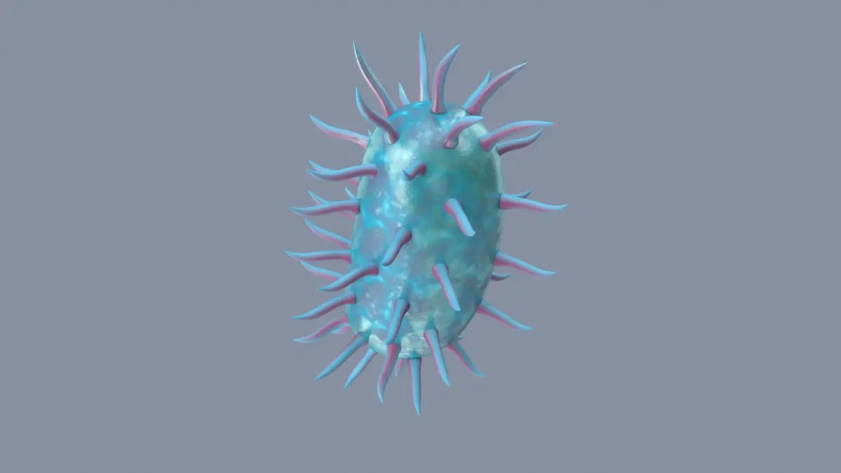 Bacterium 3D model