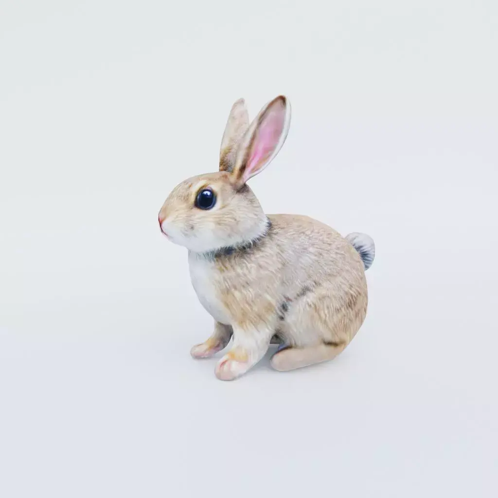 Rabbit Free 3D model