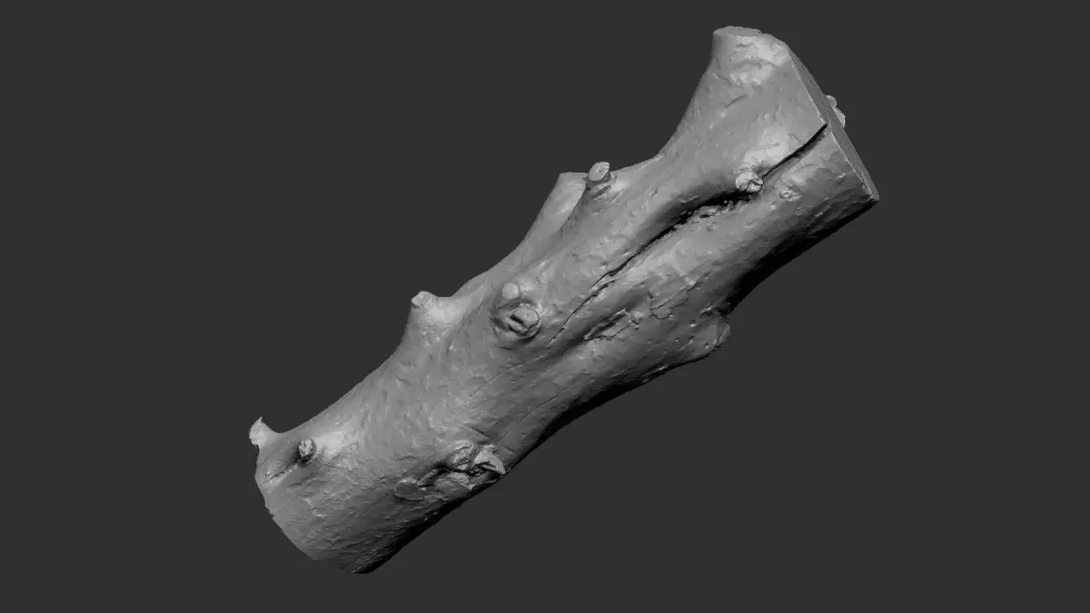 Tree trunk wood ZBrush engraving highpoly 3D model