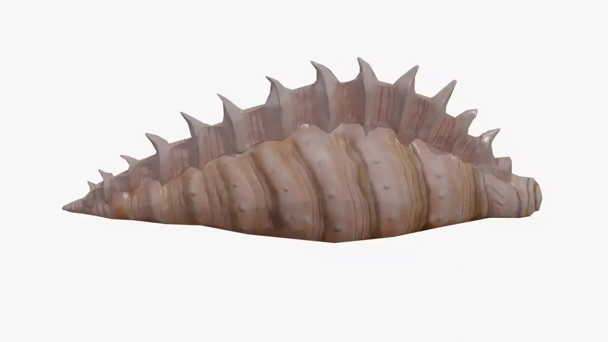 Sea Shell Low-poly 3D model