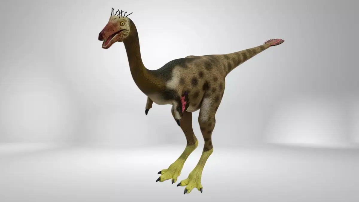 Mononykus dinosaur Low-poly 3D model