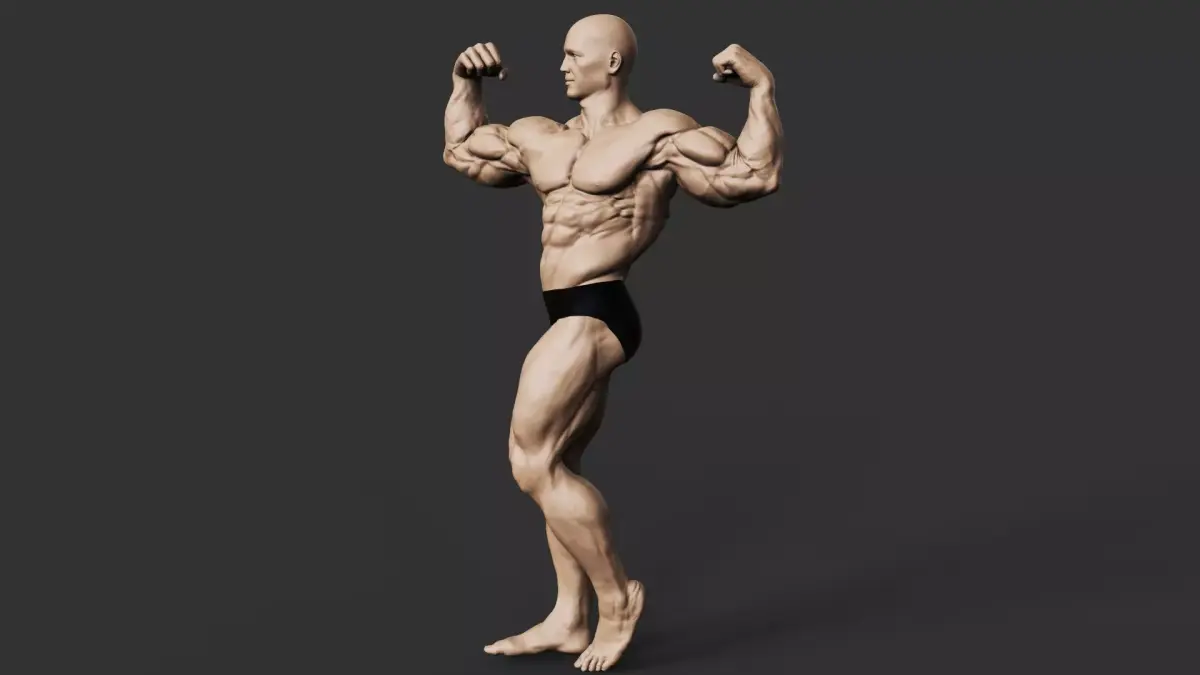 Bodybuilder 3D print model 3