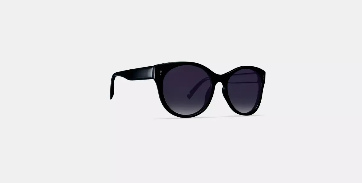 Annika Sunglasses in Jet Black 3D model