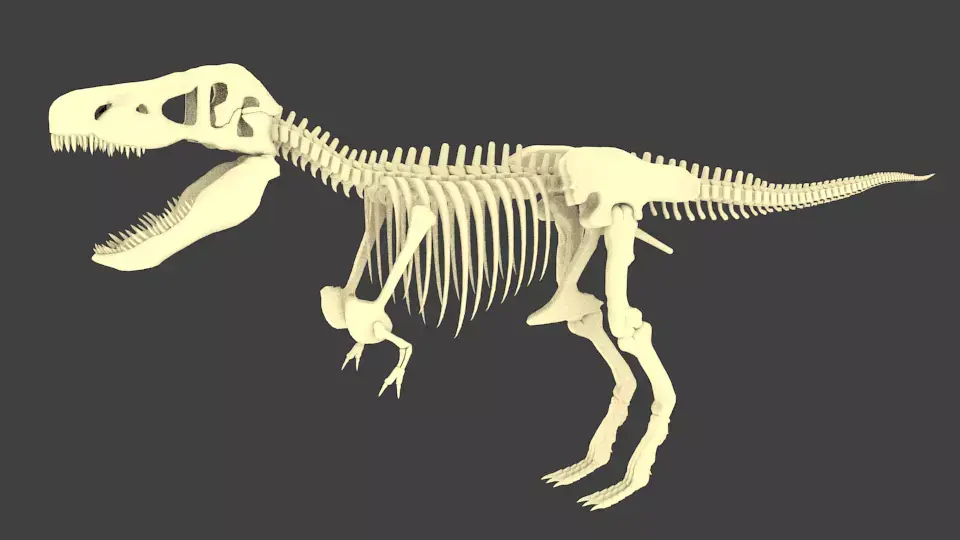 Tyrannosaurus Rex or T-Rex Dinosaur Skeleton Low-poly 3D model