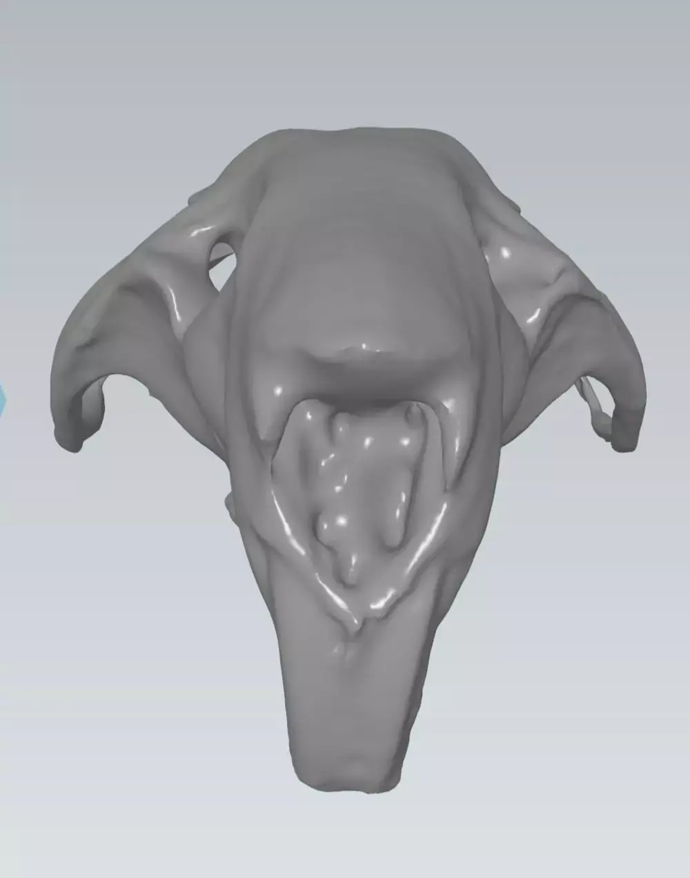 MakeIT  Rat Skull 3D Model  3D model