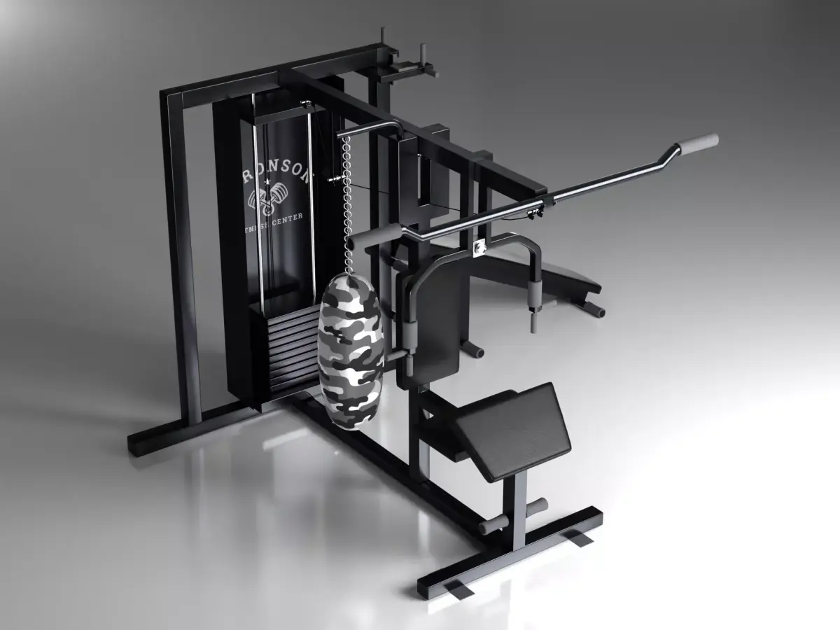 Multi Function Gym Machine Free 3D model
