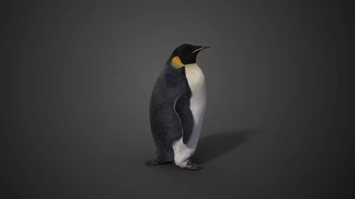 Emperor Penguin Rigged  VFX Grace 3D model