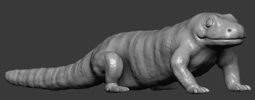 Salamander lizard 3D print model