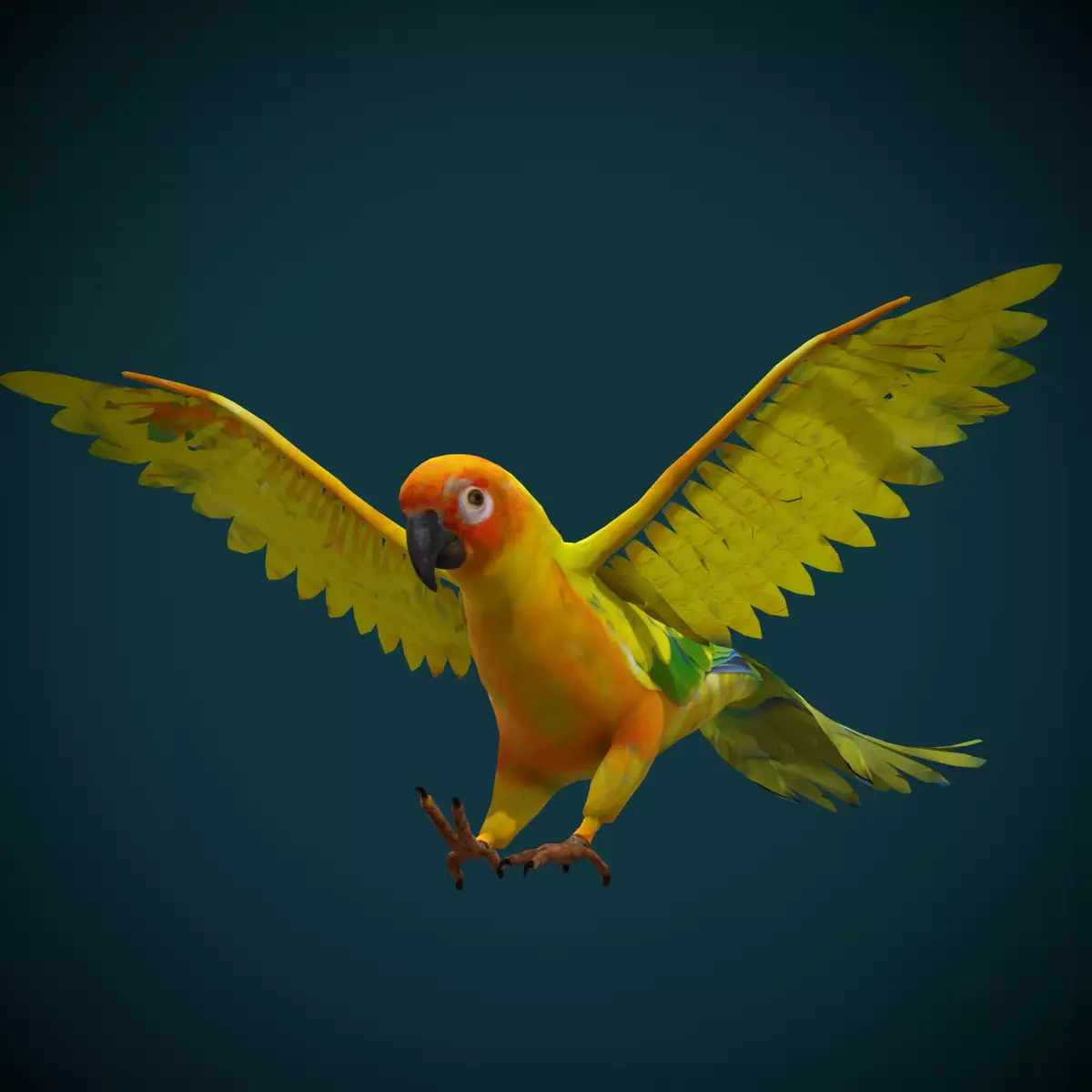 Sun Conures Parakeet Bird Low-poly 3D model