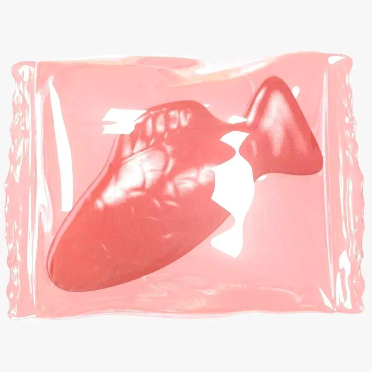 Wrapped Red Fish 3D 3D model