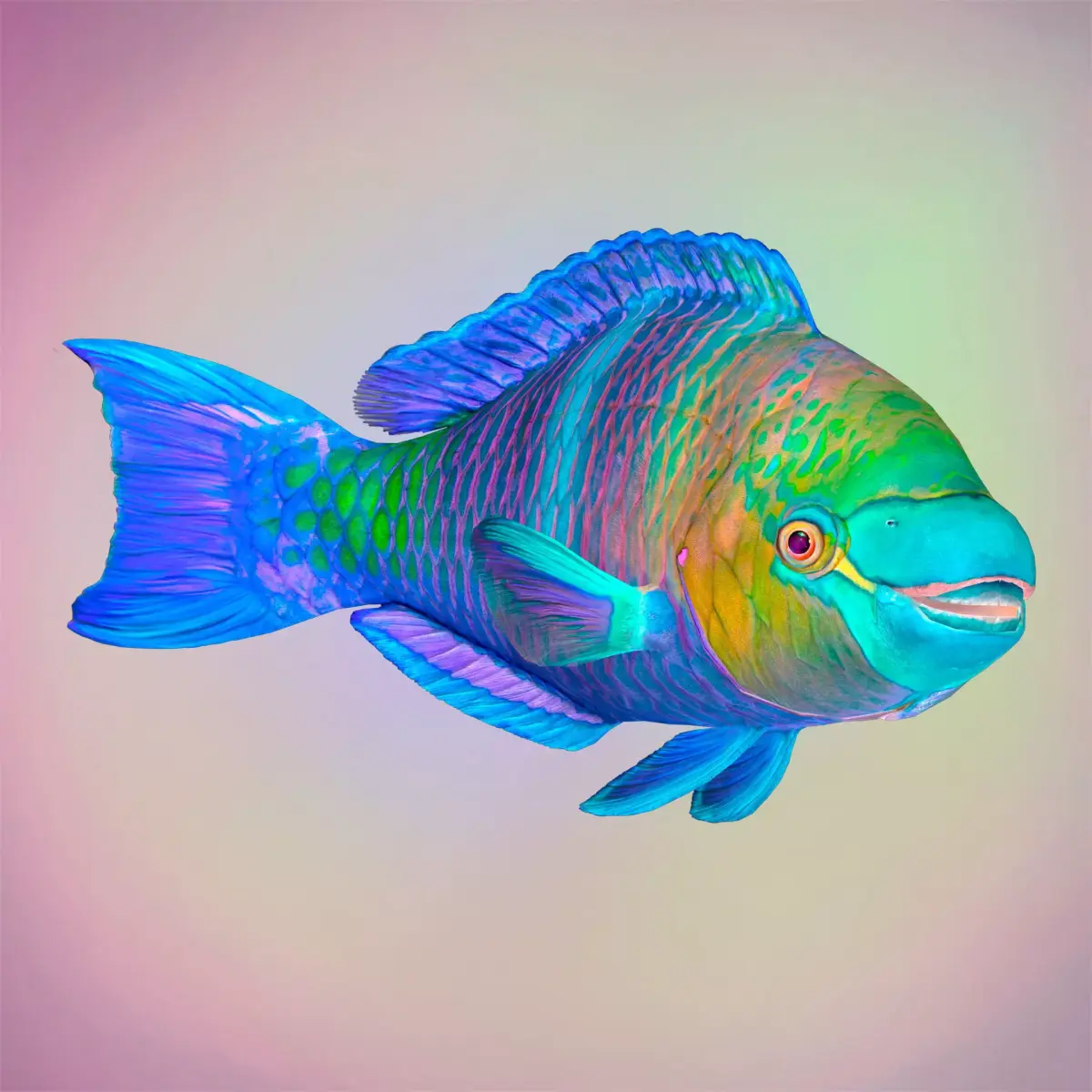 Fish Parrotfish Low-poly 3D model
