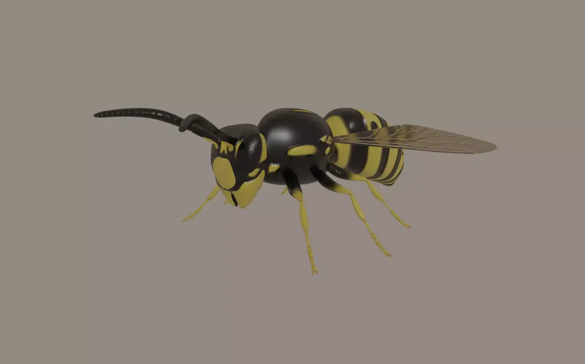 Wasp model 3D model
