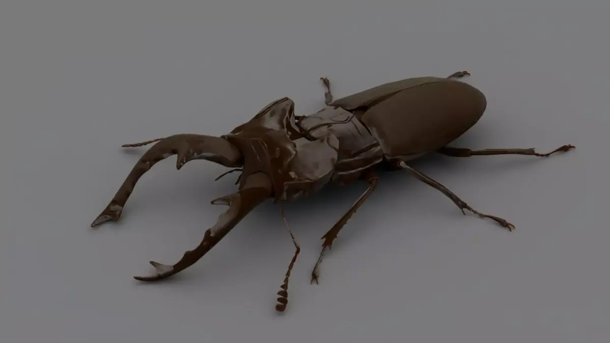 Stag Beetle Low-poly 3D model purchase