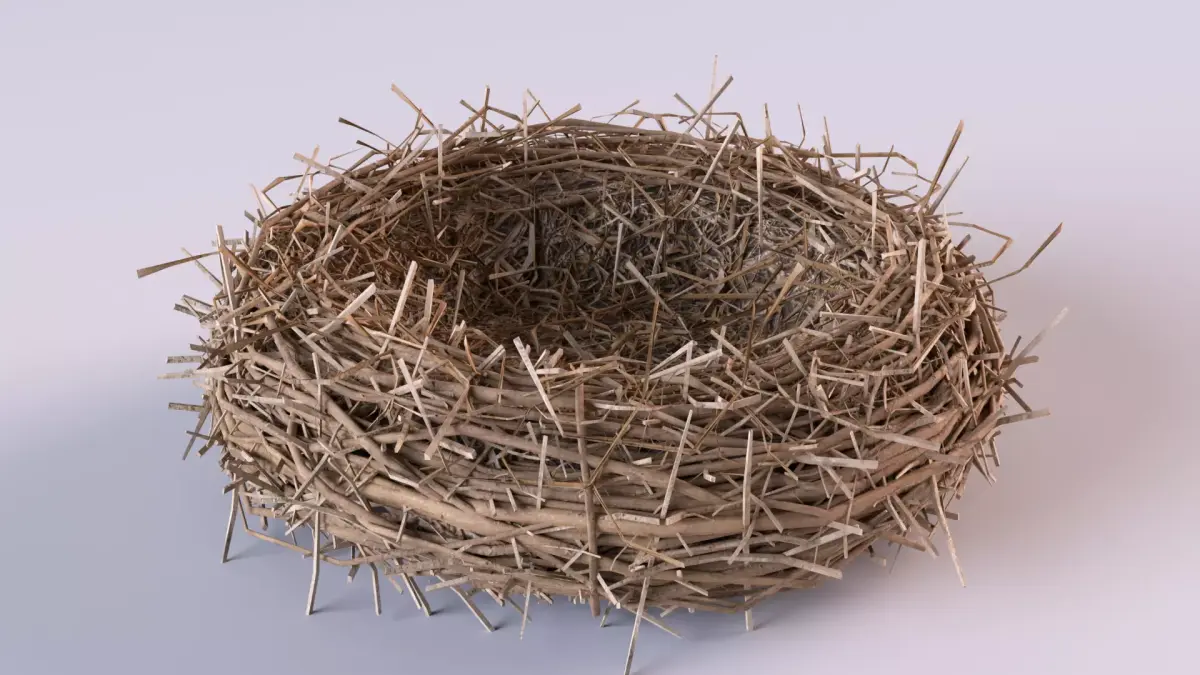Bird Nest 3D model 2