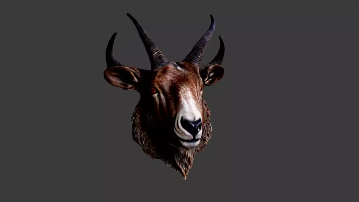 Animal Head Low-poly 3D model 33