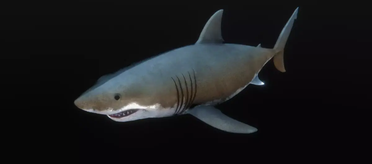 Jaws White Shark Low-poly 3D model