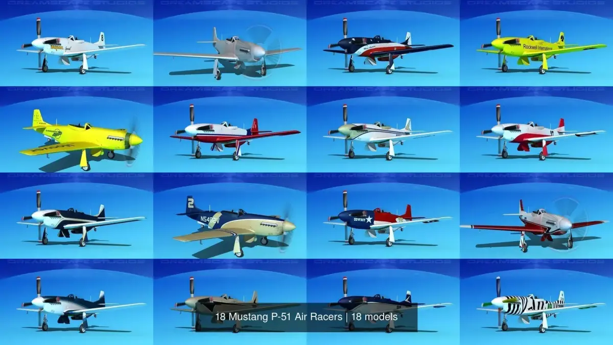 18 Mustang P-51 Air Racers 3D Model Collection