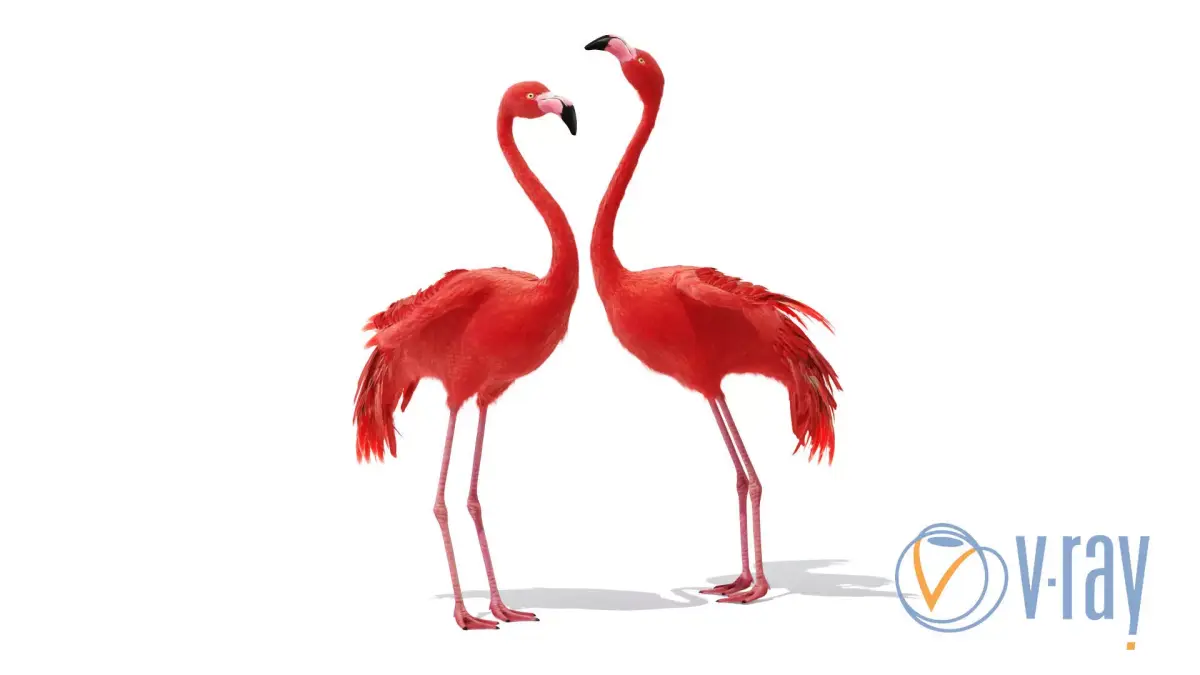 Flamingo two flamingos 3D model