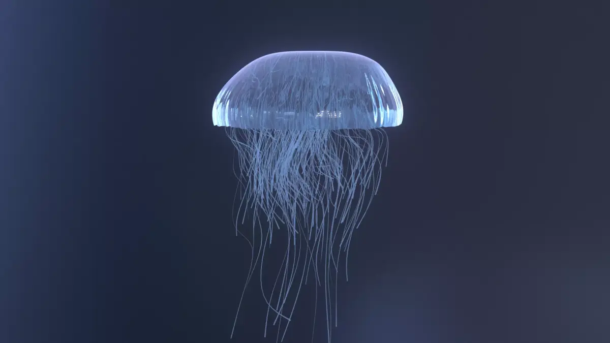 Procedural jellyfish blender cycles 3D model