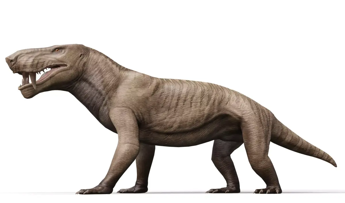 Inostrancevia Low-poly 3D model