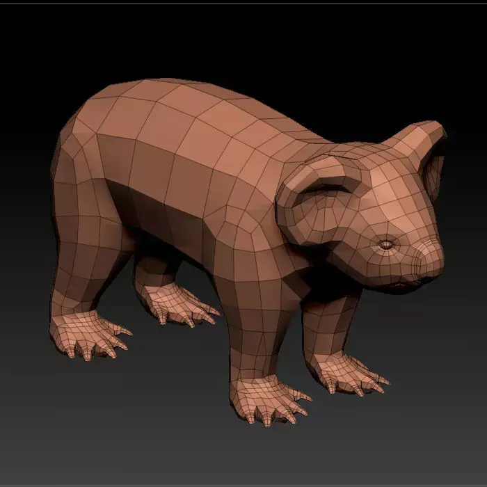 3D KOALA BEAR 3D model