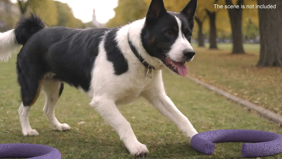 Puller Active Dogs Toy Torn 3D model