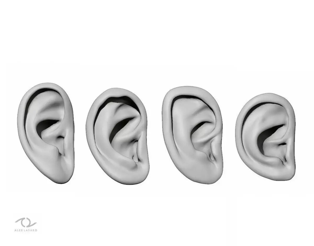 Ear Set 3D model