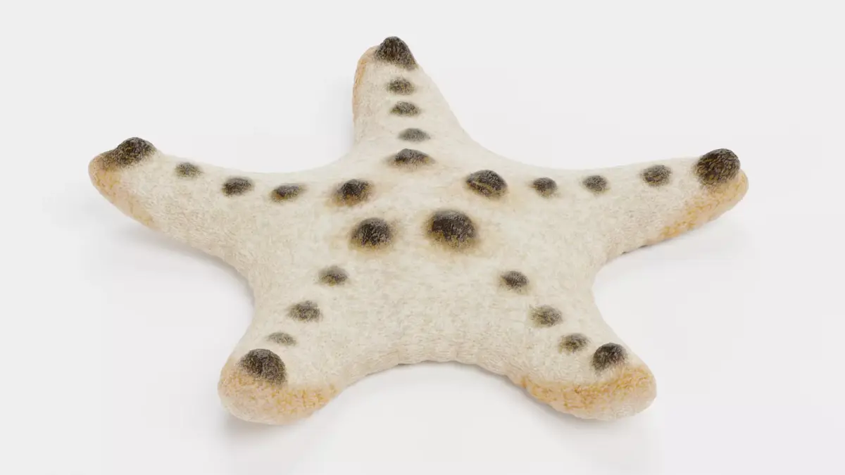 -Chocolate Chip Starfish - Rigged- 3D model