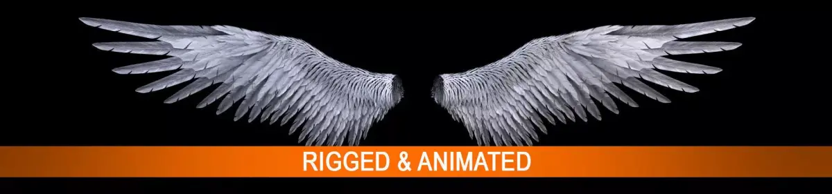 Angel Wings  3D model