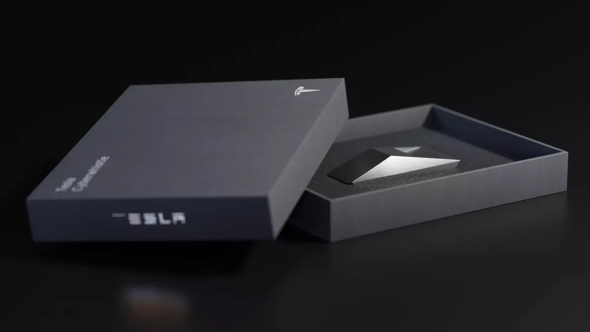 Tesla Cyberwhistle 3D model