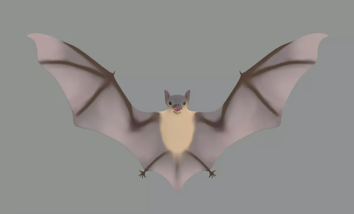 Bat Model 3D model